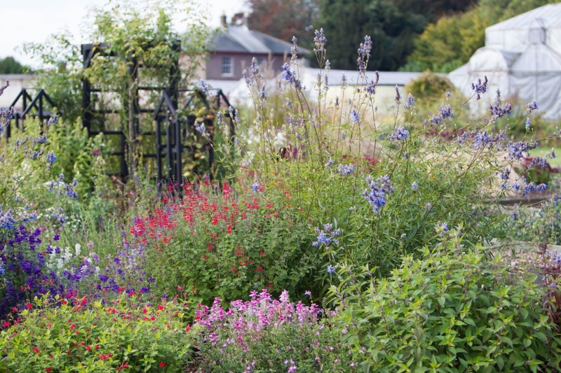 The Walled Garden